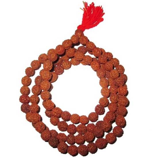 Picture of Rudraksha Mala 100