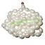 Picture of Fresh Water Pearl Mala of 4.6mm to 4.9mm 108+1 beautiful pearls