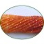 Picture of Fine Quality Carnelian Shaded Faceted Roundel, size: 3mm to 3.5mm
