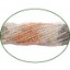 Picture of Fine Quality Multi Moonstone Plain Round, size: 2mm