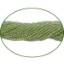 Picture of Fine Quality Peridot Plain Round, size: 2mm