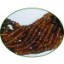Picture of Fine Quality Petro Tourmaline Faceted Roundel, size: 3mm to 4mm